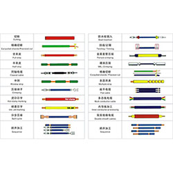 (li)(xin)ӹQ